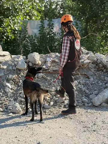 National Search and Rescue Dog Camp - Orăștie