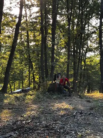 National Search and Rescue Dog Camp - Orăștie