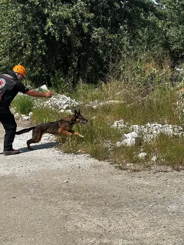 National Search and Rescue Dog Camp - Orăștie