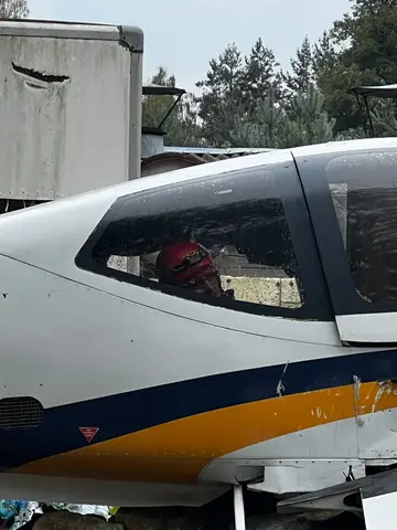 Tabăra internațională pentru câini de salvare Londonka