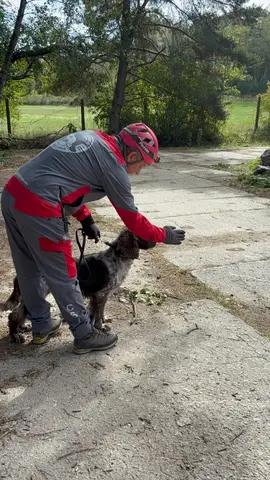 Tabăra internațională pentru câini de salvare Londonka