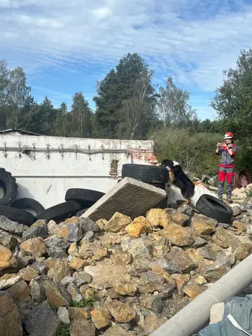 Tabăra internațională pentru câini de salvare Londonka