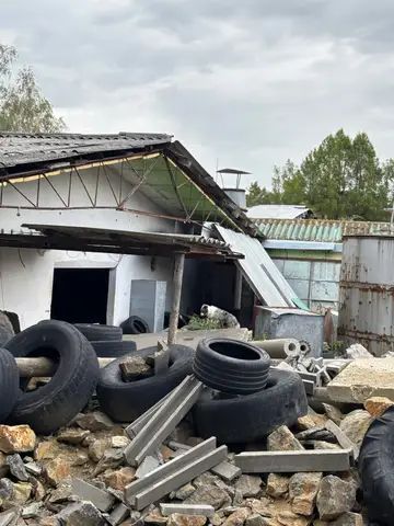 Tabăra internațională pentru câini de salvare Londonka