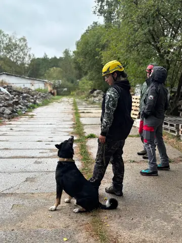 Tabăra internațională pentru câini de salvare Londonka