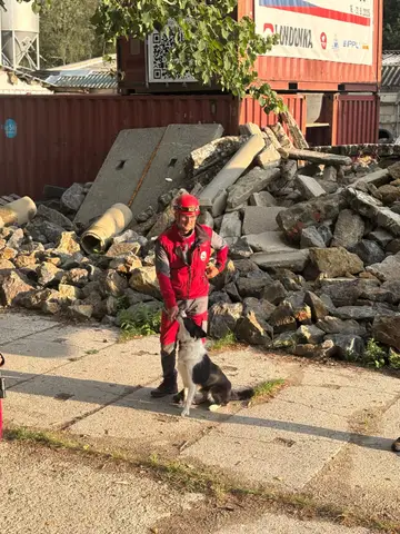 Tabăra internațională pentru câini de salvare Londonka