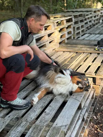 Tabăra internațională pentru câini de salvare Londonka