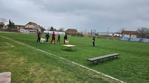 Training sessions 2026