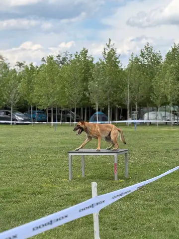 Training sessions 2026