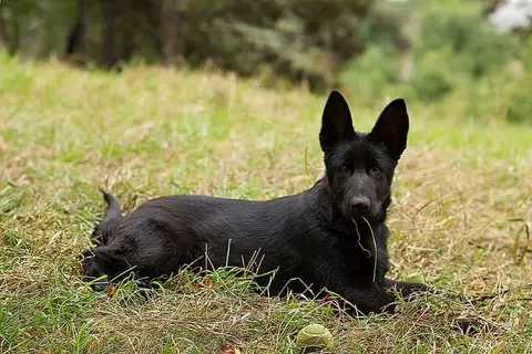 Anca & Lola