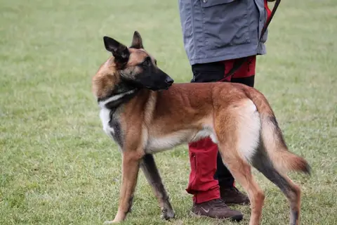 Călin & Yuppy & Cris