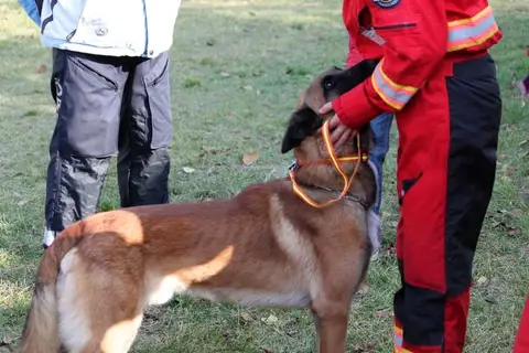 Călin & Yuppy & Cris
