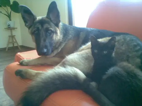 Ralu & Maya