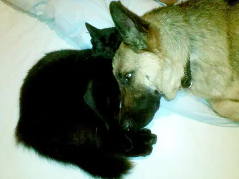 Ralu & Maya