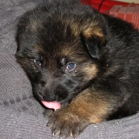 Ralu & Maya
