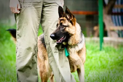 Ralu & Maya