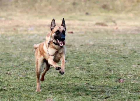 Rareș & Dora