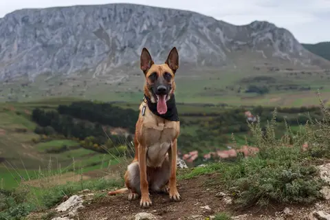 Rareș & Dora