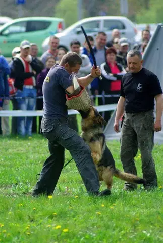 In memoriam Fedor