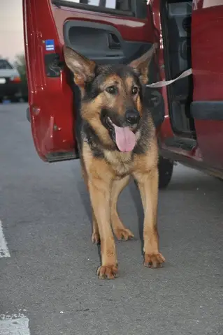 In memoriam Fedor