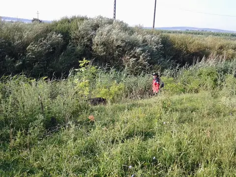 Săcueni Mission, Bihor County – 06.07.2013