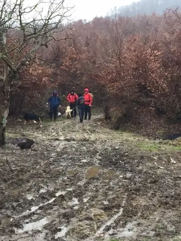 Mission