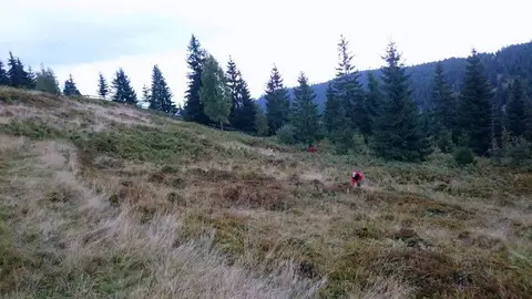 Misiune Mărișel, jud. Cluj