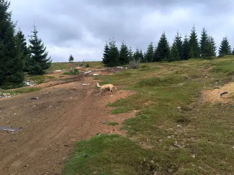Misiune Mărișel, jud. Cluj