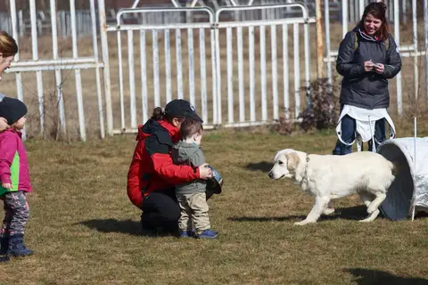 Search and Rescue Dogs for Mădălina