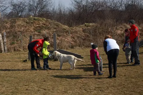 Search and Rescue Dogs for Mădălina