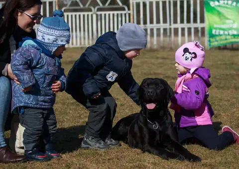 Search and Rescue Dogs for Mădălina