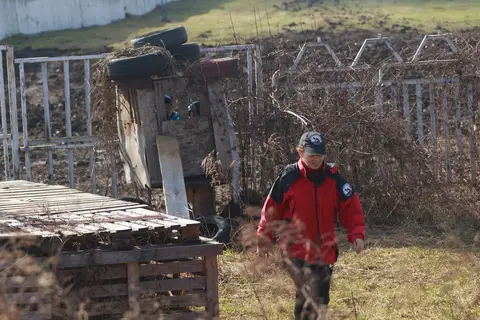 Search and Rescue Dogs for Mădălina