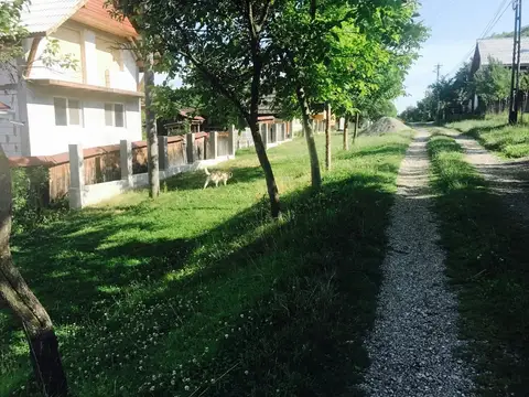 Ocna Șugatag Mission (Maramureș County) – 10 July 2017