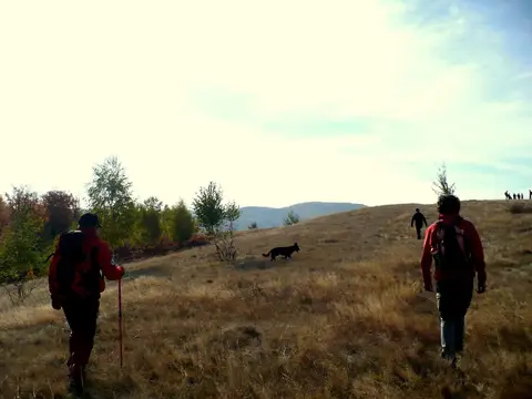 Zlatna Mission (Alba County) – 14 Oct 2017