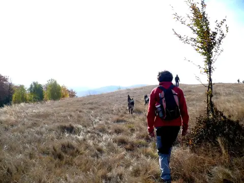Zlatna Mission (Alba County) – 14 Oct 2017