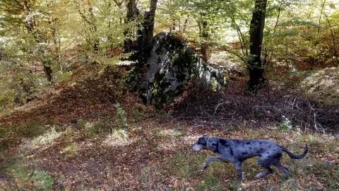 Zlatna Mission (Alba County) – 14 Oct 2017