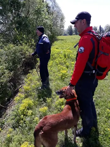 Search Mission in Geoagiu, Hunedoara County, 10–11 May 2019