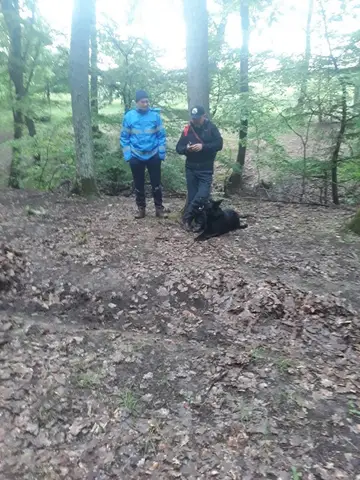 Search Mission in Geoagiu, Hunedoara County, 10–11 May 2019