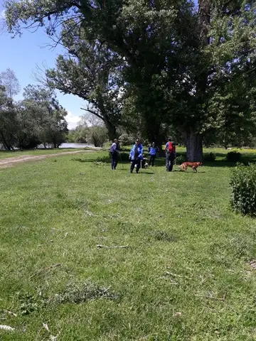 Search Mission in Geoagiu, Hunedoara County, 10–11 May 2019