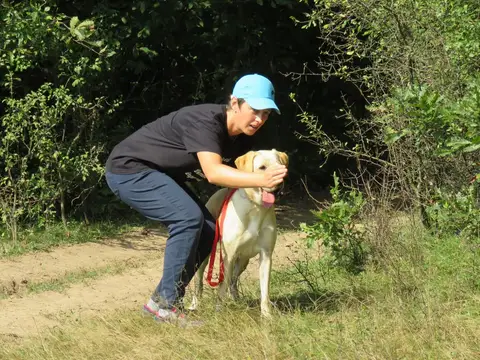 Misiune Hunedoara, 6 septembrie 2019