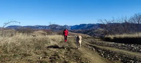 Search Mission in Valea Bucurului, Alba County – 10 Nov 2021