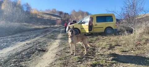 Search Mission in Valea Bucurului, Alba County – 10 Nov 2021