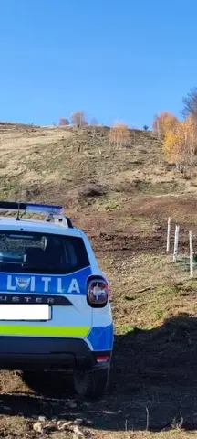 Search Mission in Valea Bucurului, Alba County – 10 Nov 2021