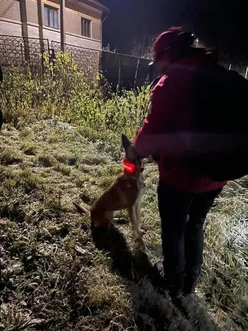 Misiune Vălișoară jud. Cluj, 13 Dec 2022