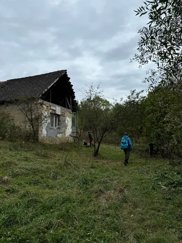 Nireș Mission, Cluj County