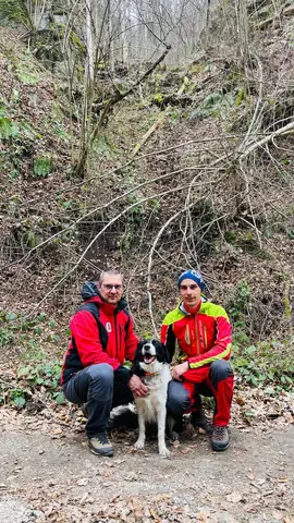 Misiune Cugir