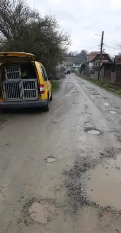 Misiune Iara, jud. Cluj