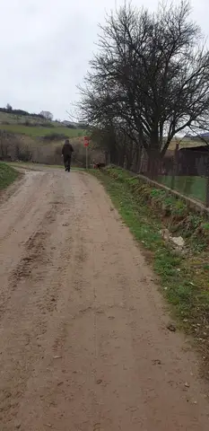 Misiune Iara, jud. Cluj