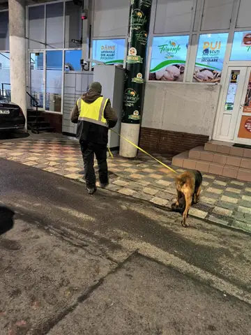 Misiune Cluj-Napoca
