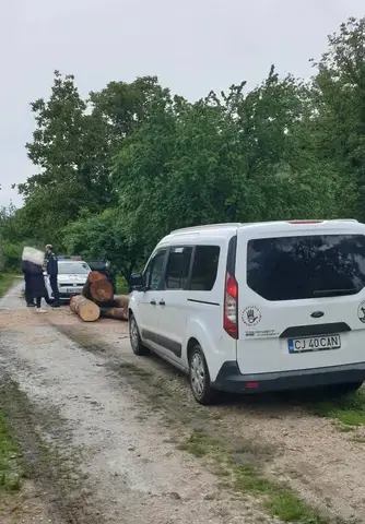 Livezile Mission, Alba County