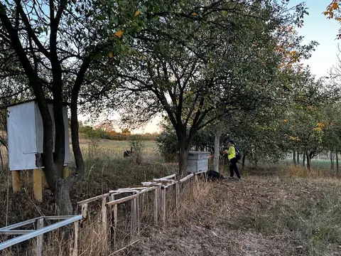 Misiune Cehu Silvaniei, jud. Sălaj